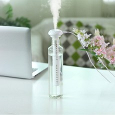 물병 공병 화병 이중필터 다용도 저소음 USB가습기, 가습기필터(숏 12cm)