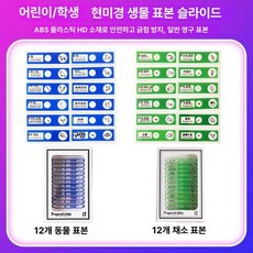 프레파라트 48종 표본 실험도구 식물 현미경 체험, 24장 야채 A, 기본 색상