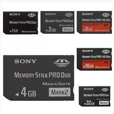 1GB 메모리 스틱 MSMT1G 카드 플래시 듀오 GB 프로 1