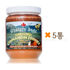 캐나다 시나몬 천연 계피 꿀 500g+정품증명서 웨스턴세이티 캐나다 항공특송, 5개