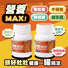 肉球世界 營養MAX 排毛粉MAX 貓咪保養品, 1個, 營養-鮮魚100g 短效2024.6