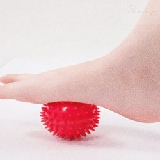 베네몰 고슴도치 마사지 볼 어깨