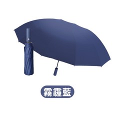 24骨自動傘 抗UV 抗風 陽傘