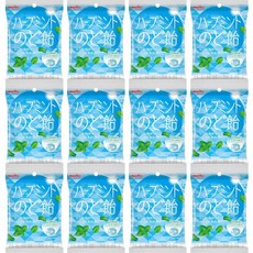 허브 민트 목캔디, 54g, 12개