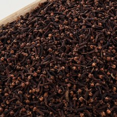 [자연담은 산해림] 한방재료 한약 약재류 정향 500g, 1개