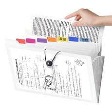 A4風琴夾 附索引貼 加厚大容量文件夾 多功能透明資料夾 多層收納分類, 12格［小熊］, 3個