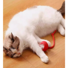 에스엠 츄이 도기볼 롤링볼 반려견 고양이 장난감 소형 자동 usb 급속충전 2세트, 1개, 빨강,회색.그린
