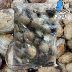 냉동 백합 조개 (대), 1박스, 5kg