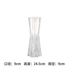 現代簡約六星七彩玻璃花瓶擺件透明客廳大號插花創意桌麵水培器皿, 幸運星-小號透明