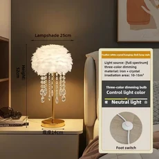 깃털 플로어 램프 북유럽 현대 미니멀리스트 럭셔리 침실 머리맡 조명 장식 LED 표준, 02 G, 01 Tri colored light, 02 US plug