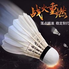 羽毛球 防風耐打訓練軟木羽毛球, 1個, 熱銷球-買一個試試【1只裝】