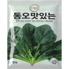 동오시드 동오 맛있는 시금치 씨앗 사계절 재배 극만추대 시금치 종자 30g, 1개