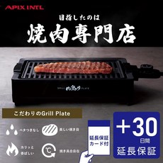 APIX INTL 低煙電烤盤 燒肉店專用 附贈延長保固, 黑色