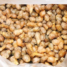 업소용 오만둥이 10kg 벌크형 1박스 국내산 통영산 오만드기/ 만드기/ 오만디/ 미더덕, 1