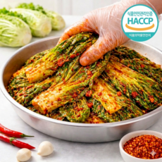 [HACCP] 특급비법양념 전라도식 국산 봄동 겉절이, 1박스, 5kg