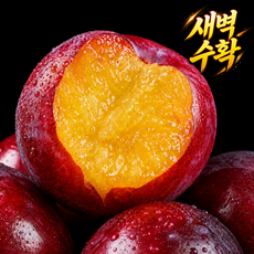 [매년완판] 새벽수확 햇자두 침샘폭발 산지직송, 1개, 300g [중과]