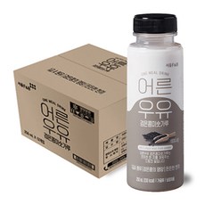 서울에프엔비 어른우유 검은콩 미숫가루 250ml, 12개