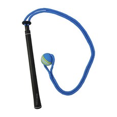 高爾夫揮桿練習器 體能繩 姿勢矯正 軟質球頭 彈力繩 增加肌肉記憶, 藍繩/彩藍球, 1個