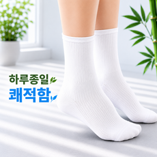 포리브레 남성 향균 대나무 양말 3켤레 세트