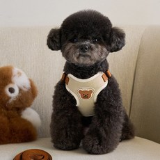 코지스 강아지 하네스 리더줄 세트, 1세트, 아이보리