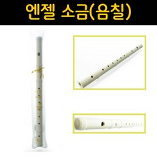 엔젤악기 [미루오피스]엔젤 소금 (음칠) AYS-5, 단일(69856), 1개