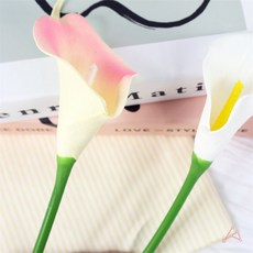 카라조화 1개 카라조화생화같은, 화이트