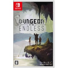 던전 오브 디 엔드리스(Dungeon of the ENDLESS™) - Switch