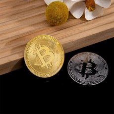 사라샵 모형 주화 케이스 비트코인, 실버