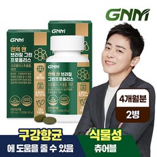 [총 4개월분] GNM 면역 앤 브라질 그린 프로폴리스 120캡슐 x 2병 / 아연 플라보노이드, 120정, 2개