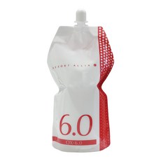 데미 아리아 C 산화제 OX-6.0 염색약 2제, 1개