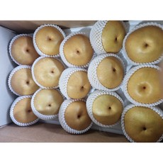 과일참맛 신고배 배 가정용 선물용, 가정용 배 15kg (26~30과), 1박스, 15kg