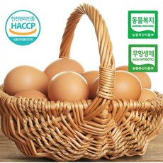 프리미엄 동물복지 무항생제 난각번호 2번 계란 유정란 ( 20구 / 40구 / 60구 ), 1개