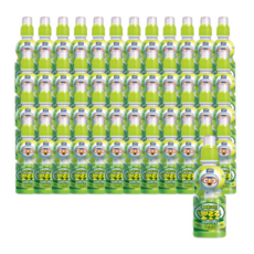 뽀로로 샤인머스캣, 48개, 235ml