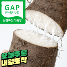 [산지직송]안동 참마 생마 뮤신 가득 끈적한 실속형, 1박스, 2kg(실속형)