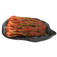 알토란 맛의공식 파김치, 1세트, 1kg