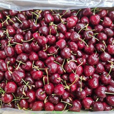 프리미엄 고당도 과일 수입 과일 특 생 체리 생과, 1박스, 체리 1kg