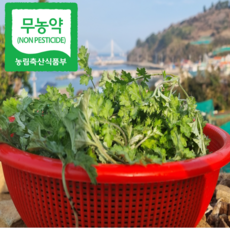 [무농약]해풍맞은 여수 거문도쑥 해풍쑥 노지쑥, 1개, 1kg