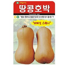 아람종묘 땅콩호박 씨앗 10p, 3개