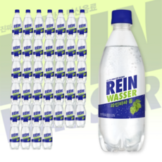 동아오츠카 라인바싸 홉 500ml X 40입 PET 제로칼로리, 40개