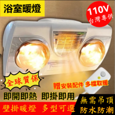 Quye 壁掛式浴室暖風機 雙燈兩檔取暖 節省空間, （110V）OP-D-201（帶漏保）水晶燈泡