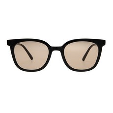 원브릴리언트 블랙 브라운 선글라스 Jayce-OB267-Black Brown