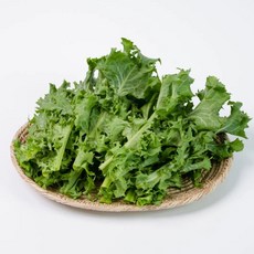 하나의팜 국내산 치커리 쌈채소 샐러드 채소, 1개, 1kg