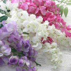 다우에프앤지 조화 가지 3p, 3개