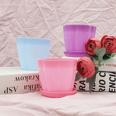 관엽식물 플랜테리어 화분 식물장식