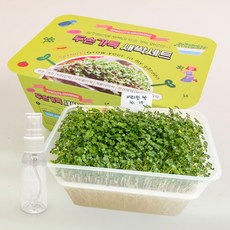 SKFARM 두손가득 새싹 키우기 세트 비타민채 새싹 씨앗 분무기 포함, 2세트