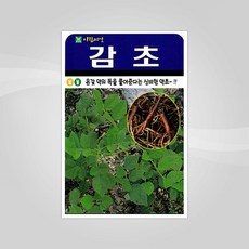 감초 500립 아람종묘 감초씨앗 종자, 1개