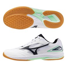 Mizuno 美津濃 乒冠體育 WAVE DRIVE 9 桌球鞋 81GA220541