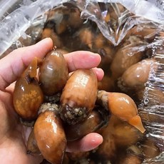 진동 활 미더덕500g 2인 횟감 찜 된장찌개, 1개, 500g