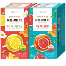 담터 프룻&허니티 유자 허니 캐모마일 +자몽 허니 블랙티, 2세트, 1g