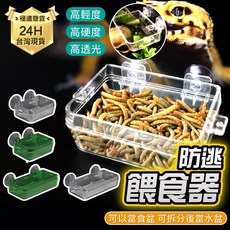 PJ小舖 爬蟲餵食盆 爬寵水盆 守宮 鬆獅蜥蜴 防逃逸 肥尾守宮 睫角 兩棲爬蟲適用, 1個, 透明